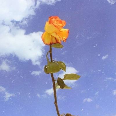 三生桃花欲封天公益服下载