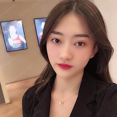 飞机模拟器遨游中国游戏